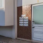 Airport - Std 2 - Ar Condicionado - Cave 20m2 215ft2 - Full Equipped - Ring Bell E Apartmán *